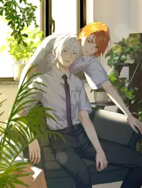 浪客剑心 真人版 漫改系列